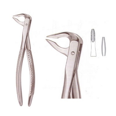 Extracting Forceps